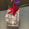 Florero Luminoso Lampara de mesa sin cable